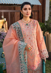 Rang Rasiya RE24#03 RANIA Premium Eid Lawn pakcloths.pk