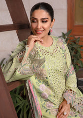 Rang Rasiya RE24#10 GEETI Eid Lawn Collection pakcloths.pk