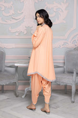 Charizma CNP22-101 Ready to wear 2-Pc Embroidered Brosha pakcloths.pk