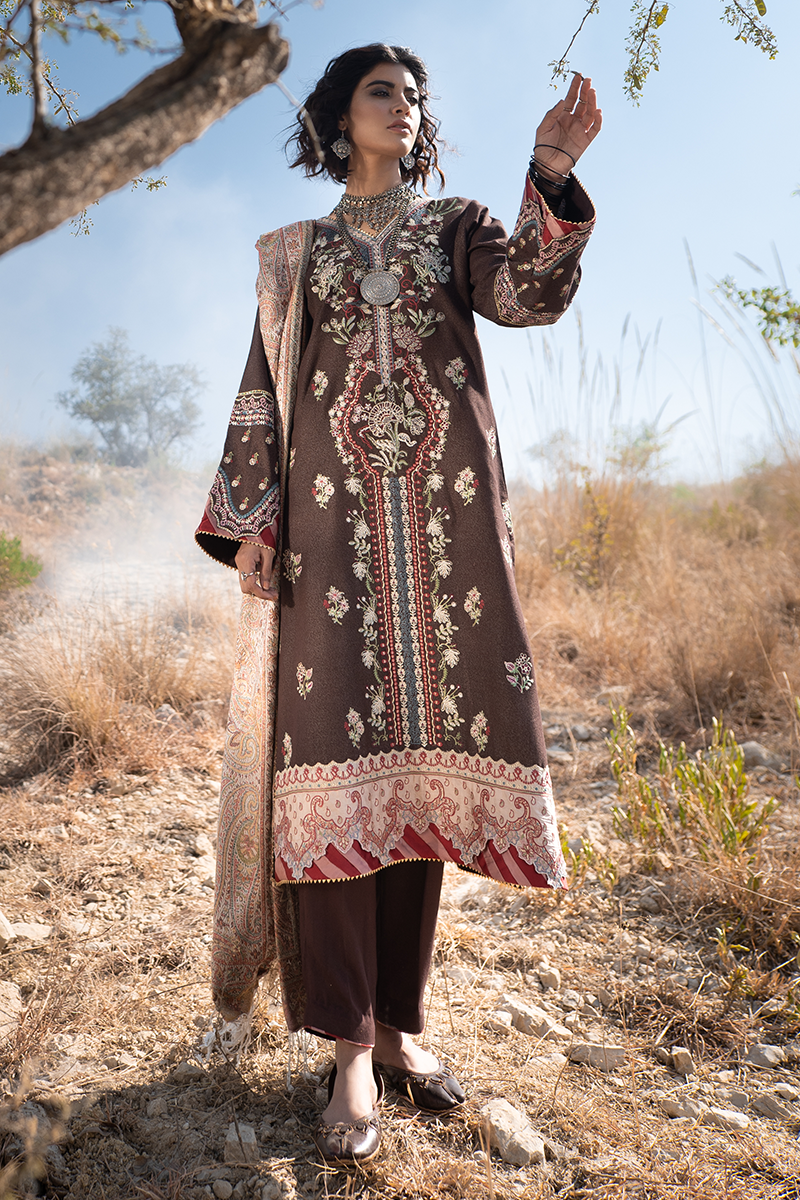 Qalamkar KS-04 Luxury Winter Collection (with Shawl) 2020 pakcloths.pk