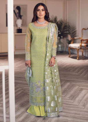 Rangrasiya DILNUR Wedding Collection